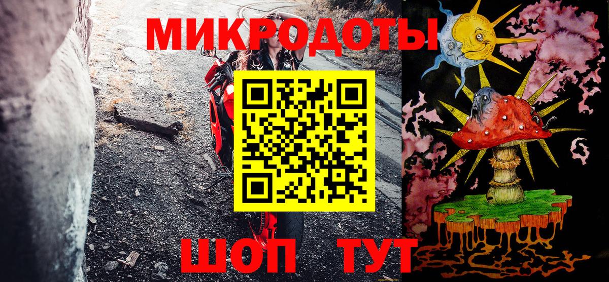 Галлюциногенные грибы Psilocybine cubensis Наро-Фоминск